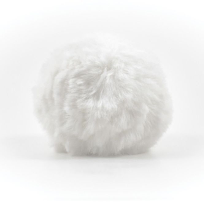 Hovedbilde Stor Dusk korthåret 9,5cm